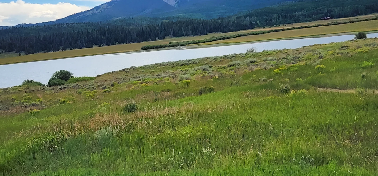 20250802_163733.webp