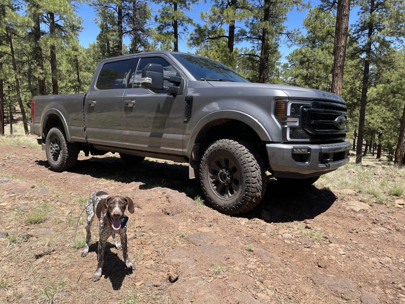 6BBFF607-DADF-463E-A306-CB9F8A92D27E.jpeg | Ford Tremor Forum | Ford ...
