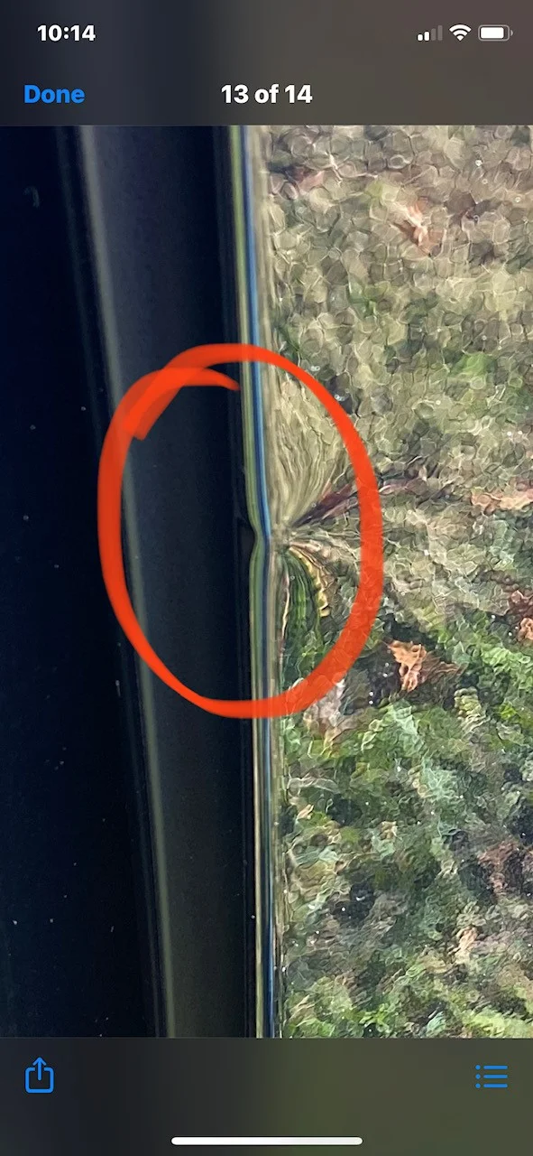 Bed Dent 2.jpg