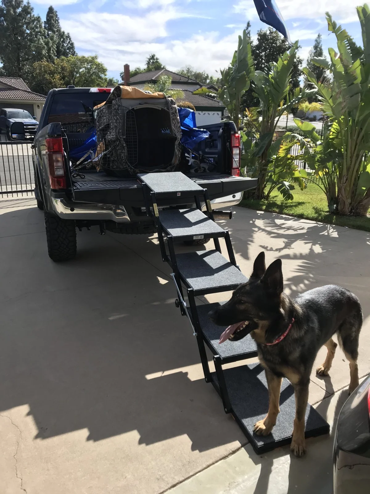 f250_3.jpg