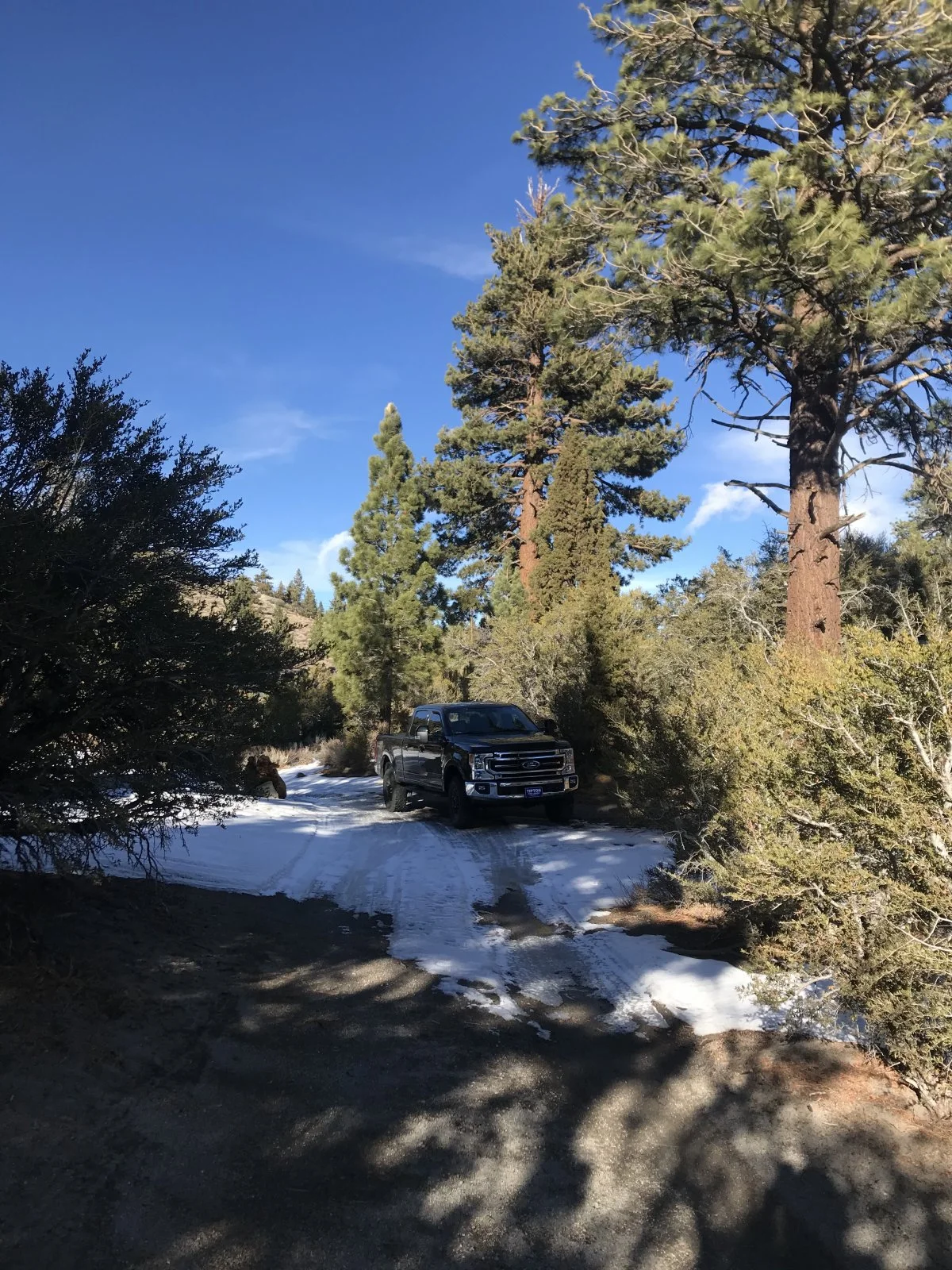 f250_5.jpg