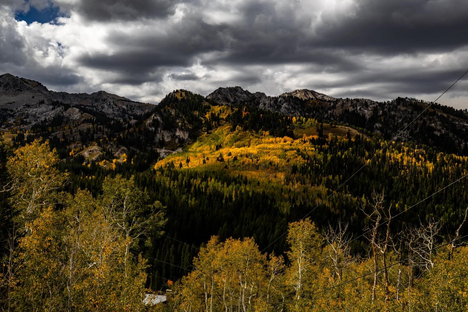 Guardsman Pass.09.26 (1).webp