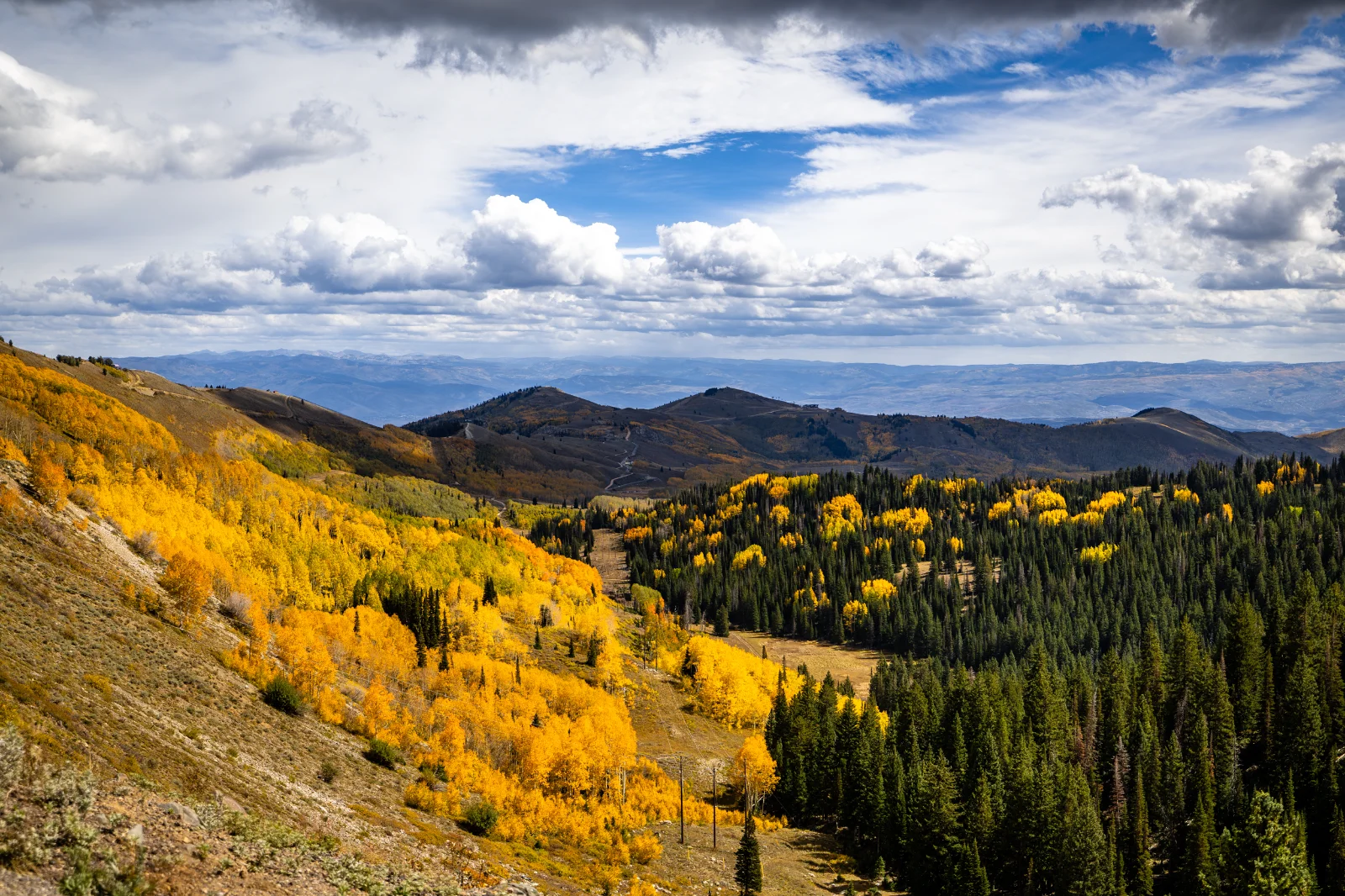 Guardsman Pass.09.26 (5).webp