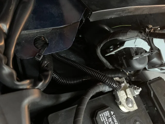 image4 (1).jpeg