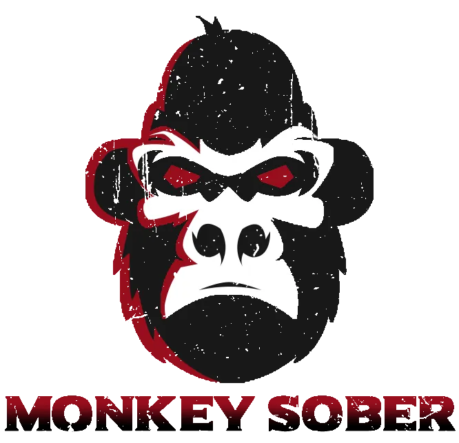 www.monkeysober.com