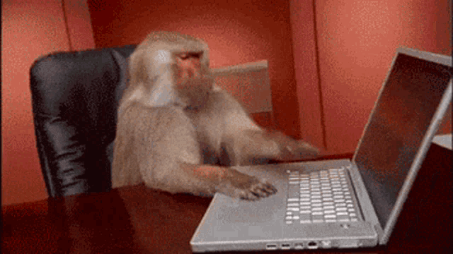 monkey-working.gif